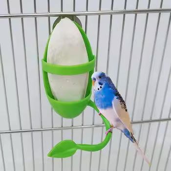 Bird Fruit & Vegetable Feeder with Cuttlebone Holder – Cage Hanging Cup